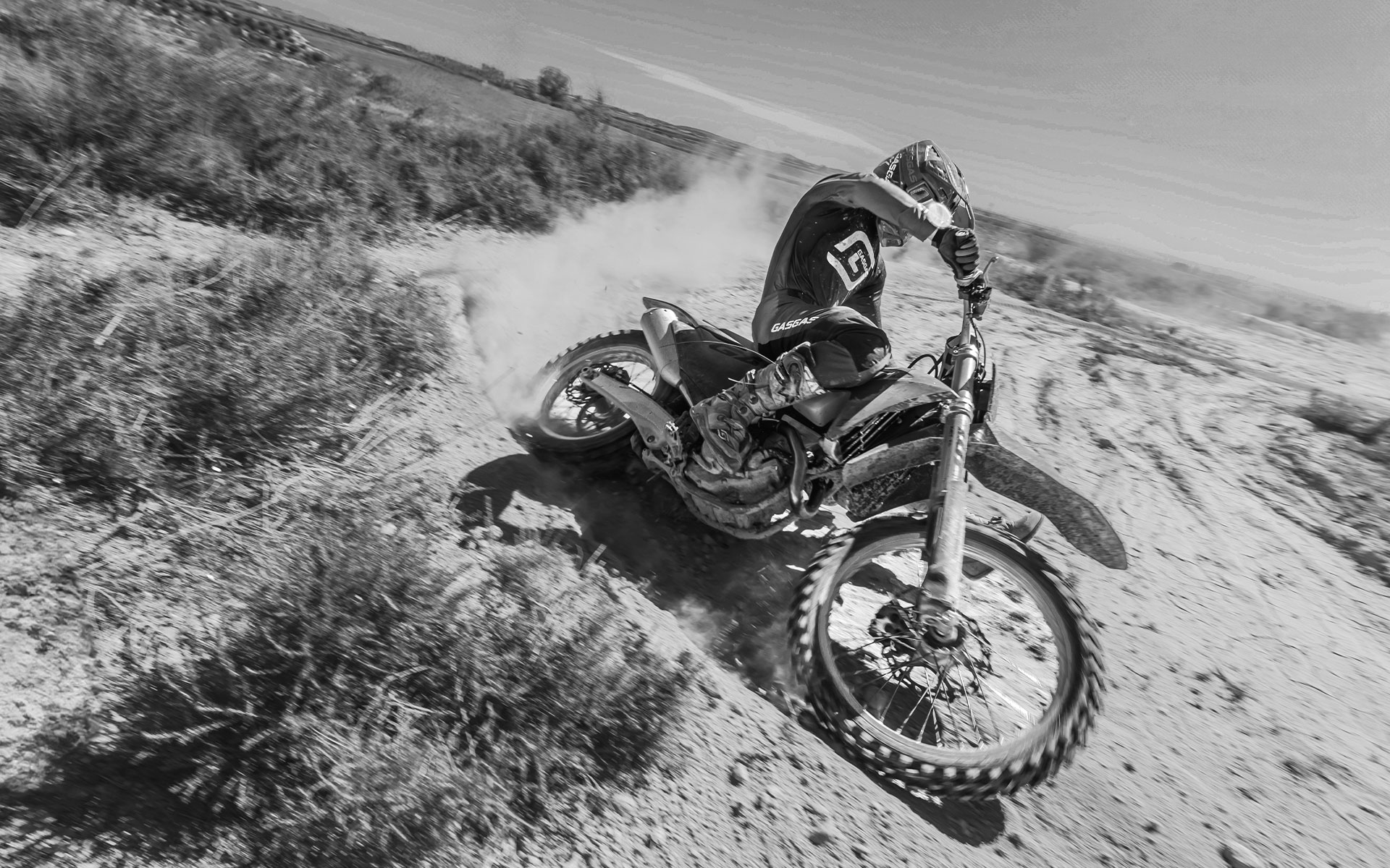 EX 250F