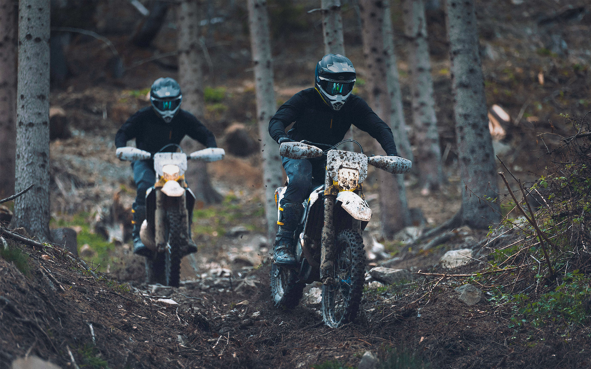 FE 250
